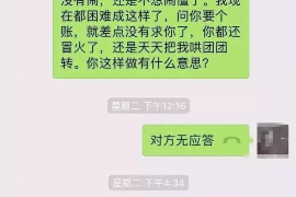 辽阳为什么选择专业追讨公司来处理您的债务纠纷？