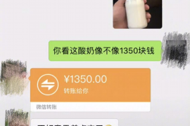 辽阳遇到恶意拖欠？专业追讨公司帮您解决烦恼